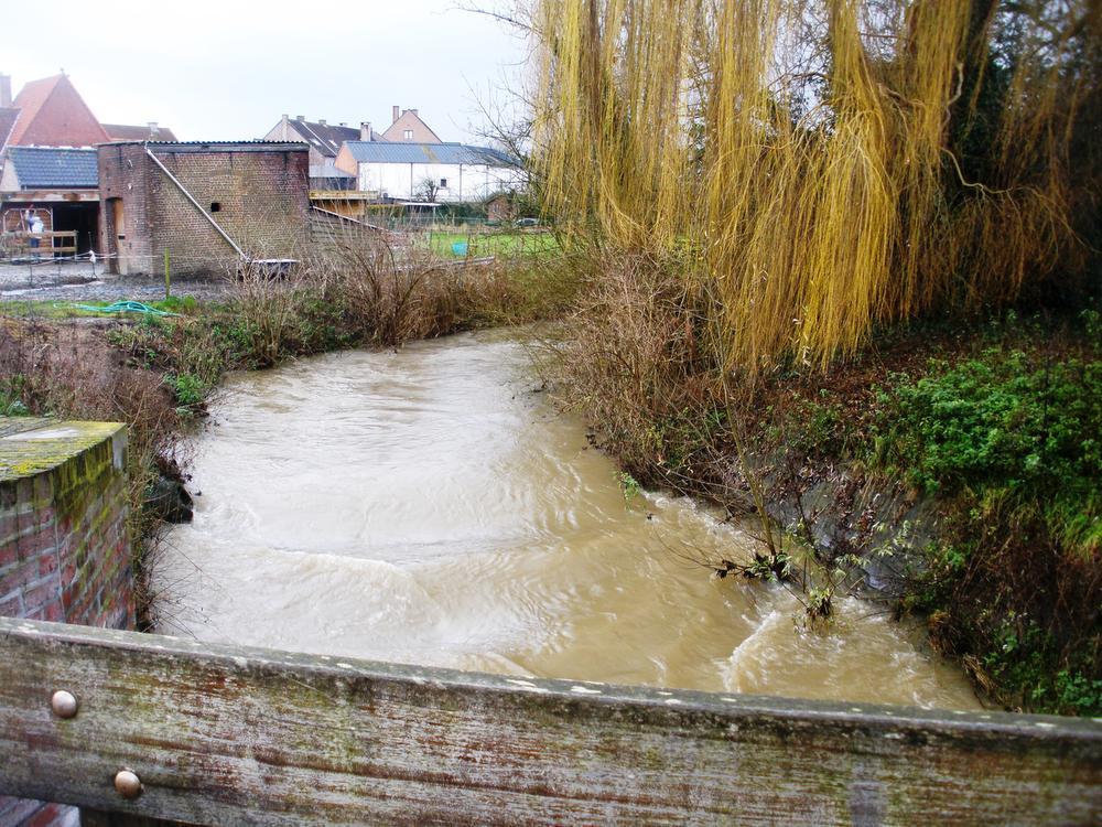 Treurwilg stort in Heulebeek na hevige regenval