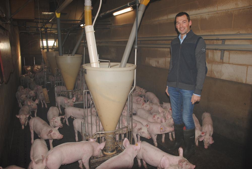 Klacht tegen varkensboer uit Zedelgem die imago wilde opkrikken tijdens tv-programma