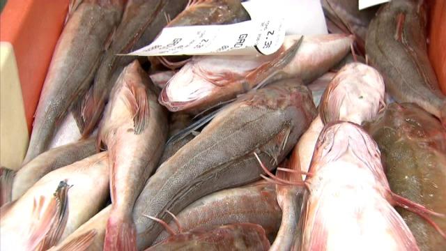 Vismijn Oostende verhandelt meer vis, maar niet genoeg vindt Groen