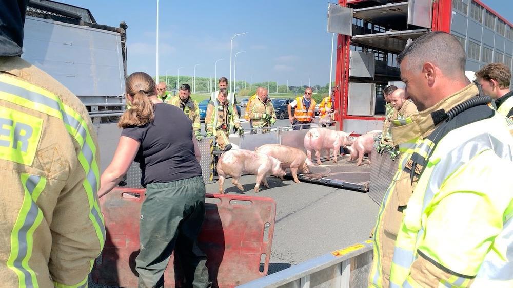 VIDEO - E40 in Brugge weer open voor het verkeer na zwaar ongeval