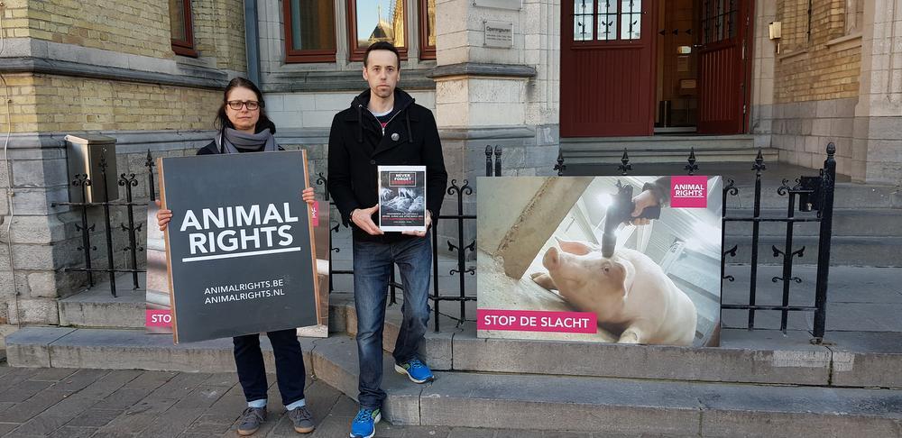 Rechtszaak tegen Tieltse Exportslachthuis uitgesteld naar november