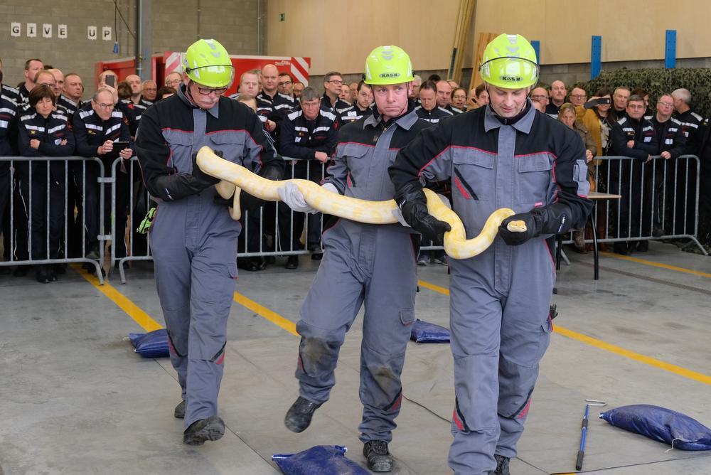 Andrew Oreel, Jos Delbarre en een collega van het dierenreddingsteam van de post Veurne demonstreren hoe een python moet worden aangepakt.
