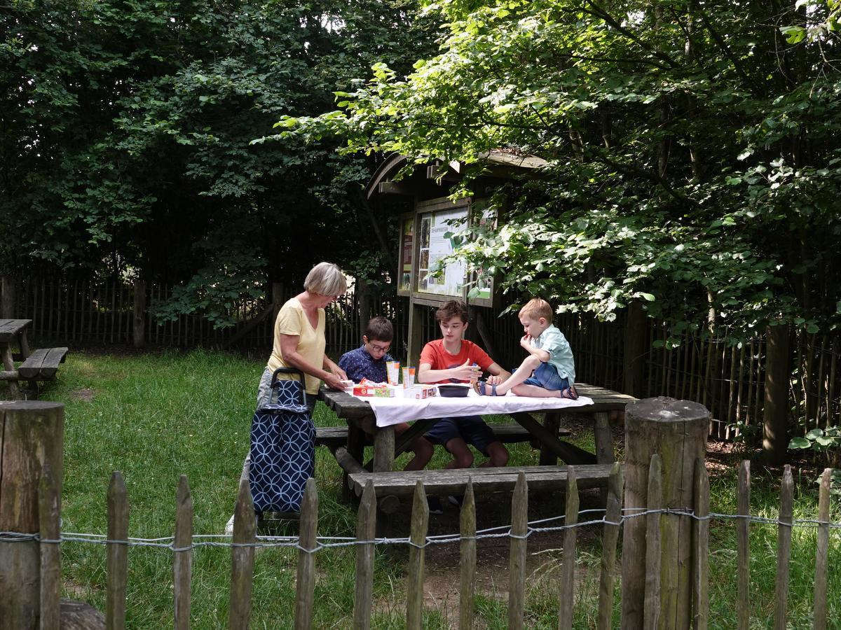 De mooiste picknickplekjes van West-Vlaanderen en Limburg