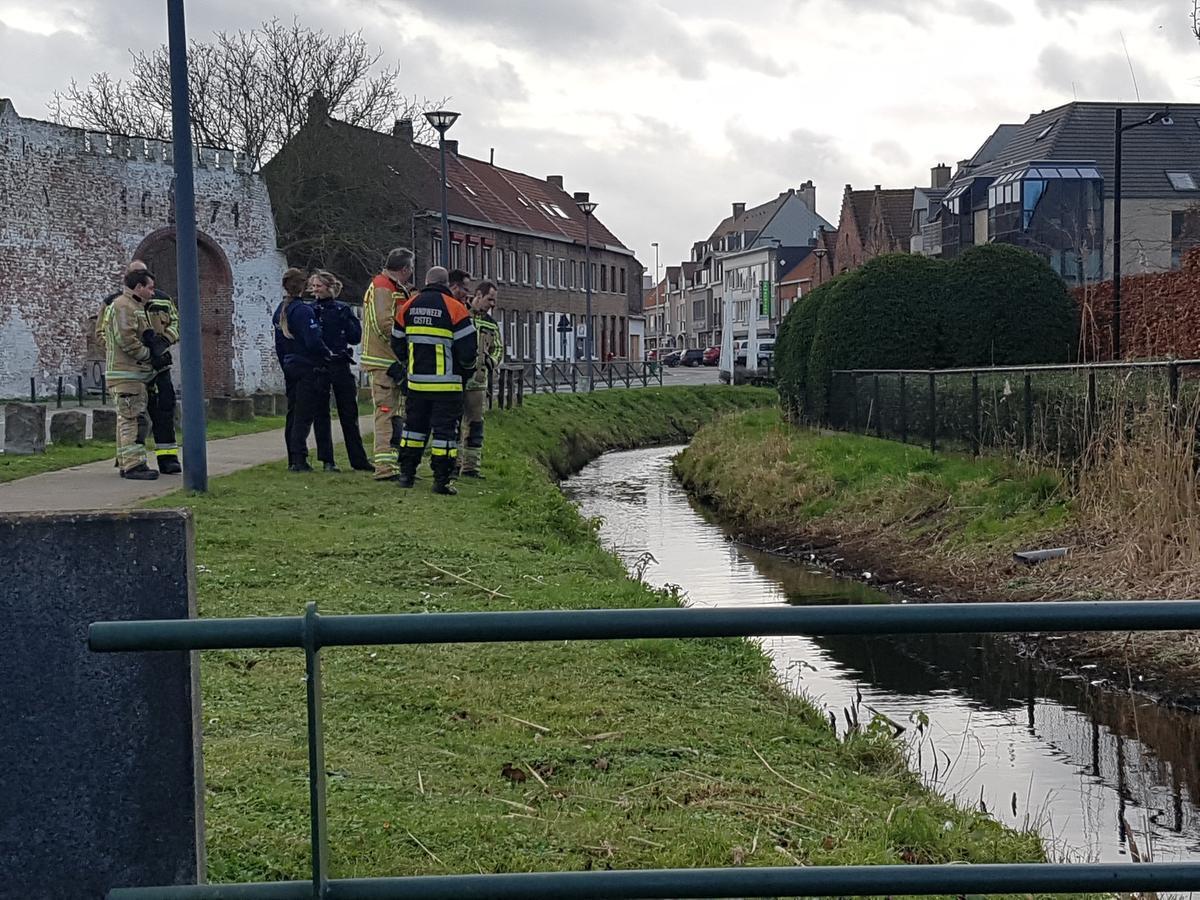 Massale vissterfte in Stedebeek in Oudenburg wellicht veroorzaakt door mestvervuiling