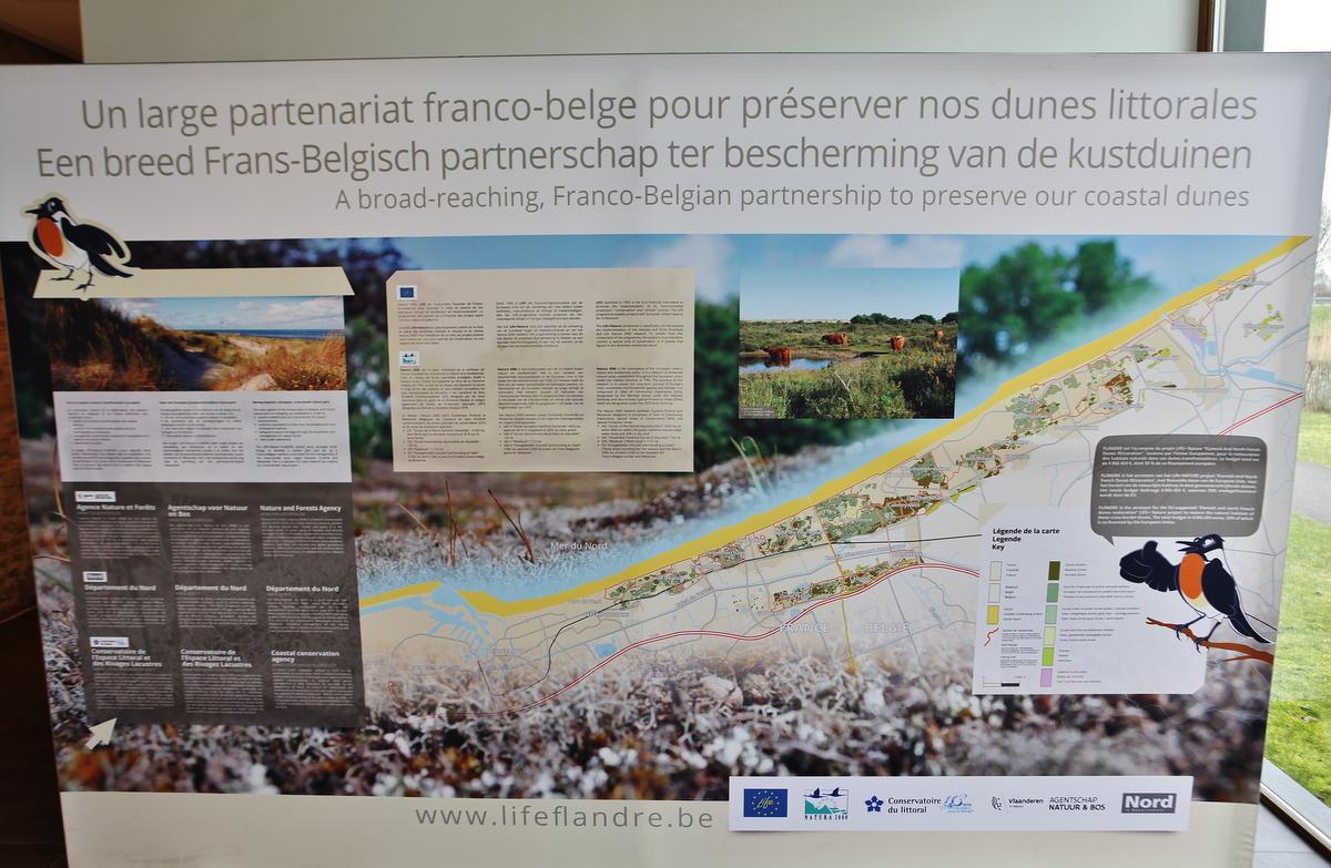 Frans-Vlaamse samenwerking voor 'grenzeloze' duinen van Vlaanderen