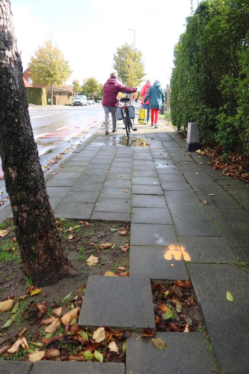 Veel voetpaden zijn aan vernieuwing toe, al gaat het vaak om kleine ingrepen. (Foto BVB)