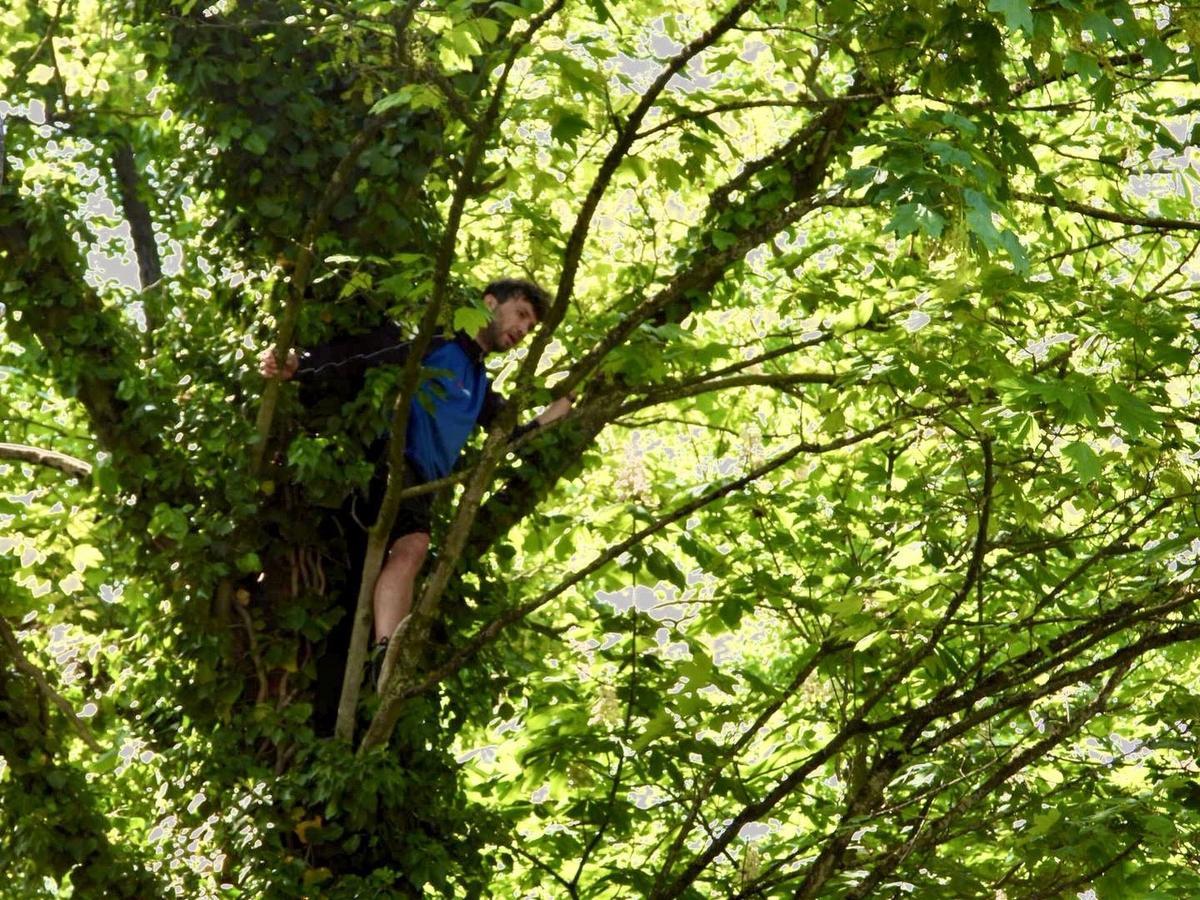 Tijl Dewildeman zat 8 meter hoog vast in een boom in het Minnewaterpark. (foto Jan Van Maele)