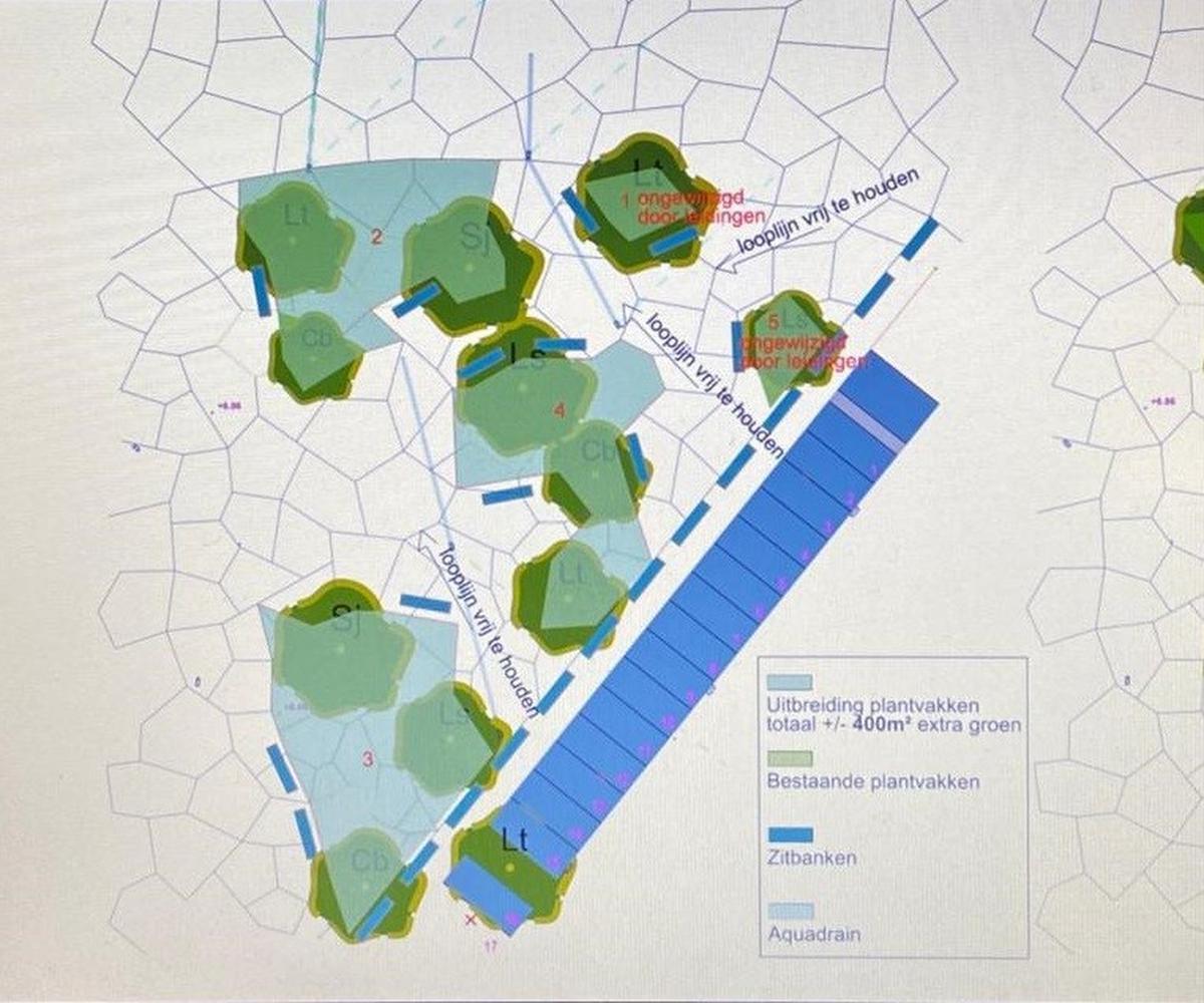 Brugse stadsarbeiders planten 9.000 plantjes op 'lelijkste plein ter wereld'