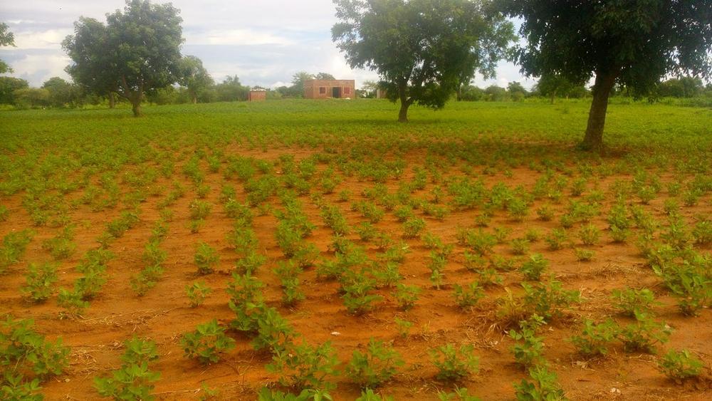 Mien De Graeve in Burkina Faso: