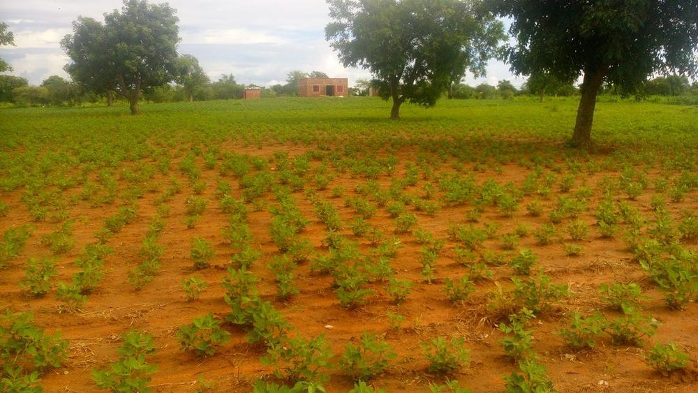 Mien De Graeve in Burkina Faso: 