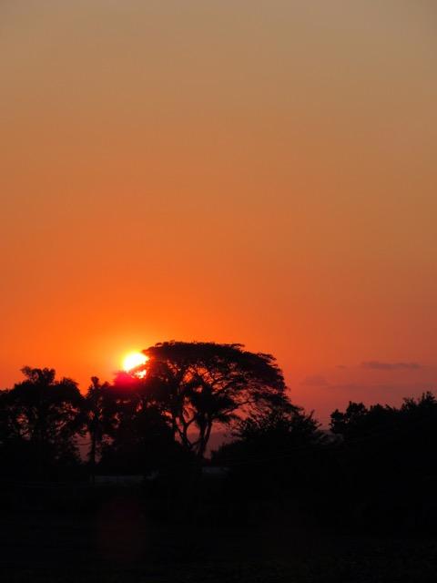 Laura Schuerwegen in Malawi: