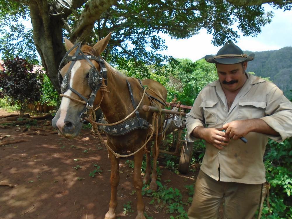 Carlos en zijn 'caballo', wat waren we blij dat zij de terugreis vergemakkelijkten.