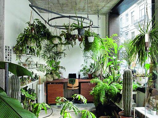 plantenwinkels brussel 