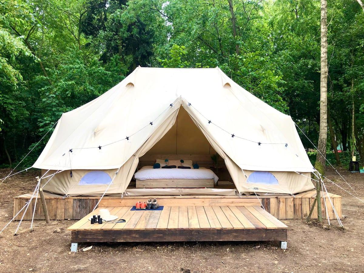 glamping in the woods 