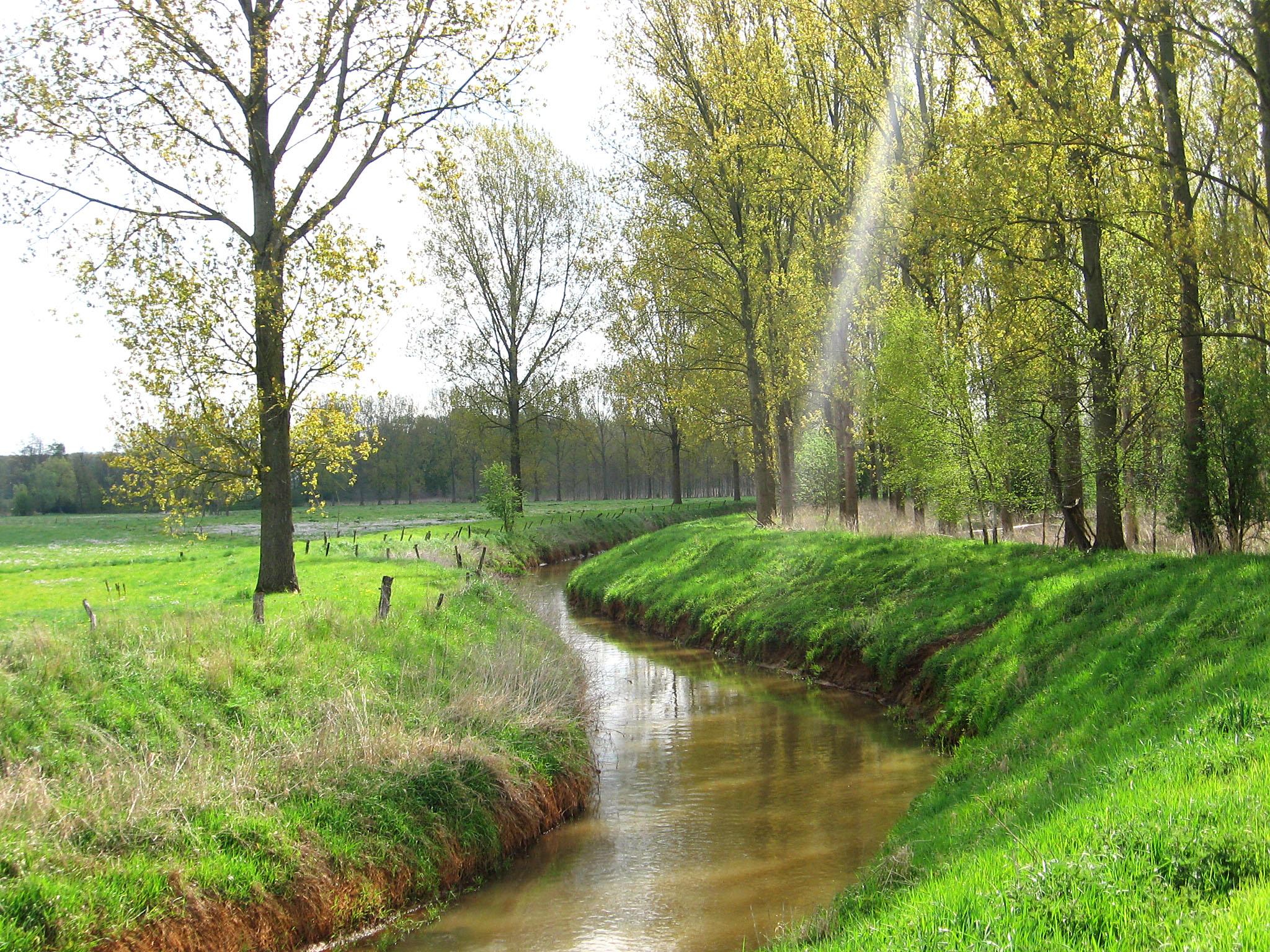 Wandelroute Vlaams-Brabant: Webbekoms Broek - Libelle