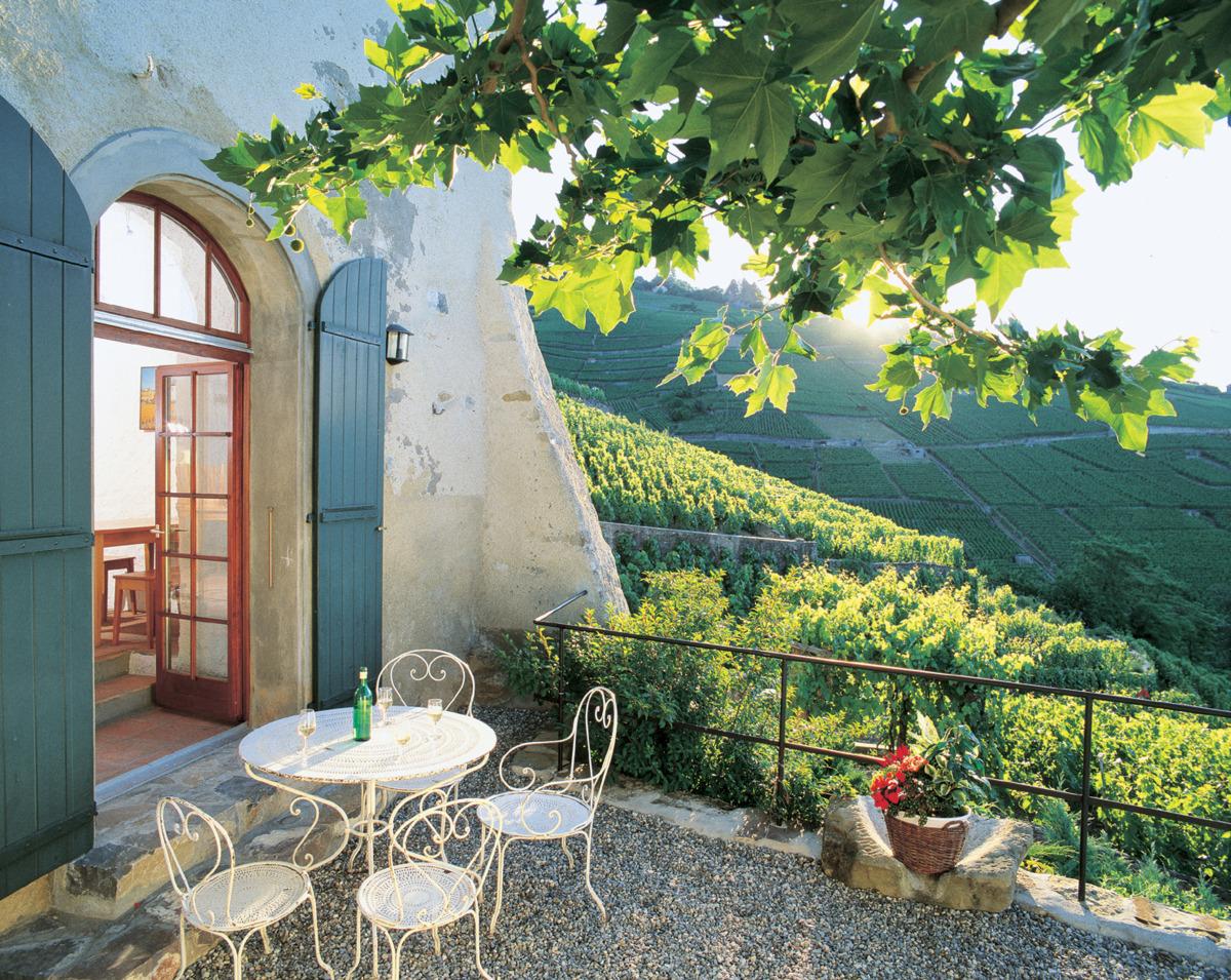 Terrasse dane le vignoble - ©Régis Colombo