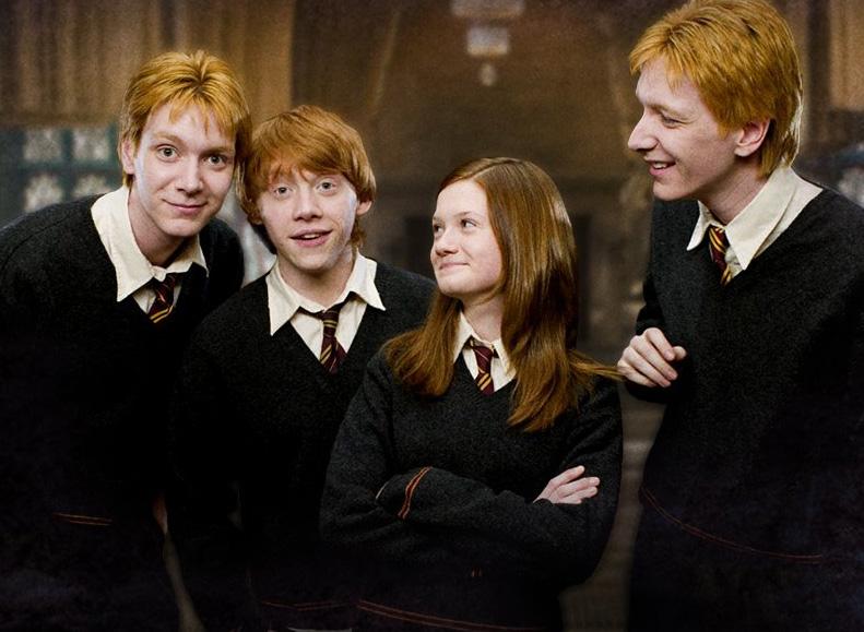 Quel Est Mon Nom De Famille Harry Potter