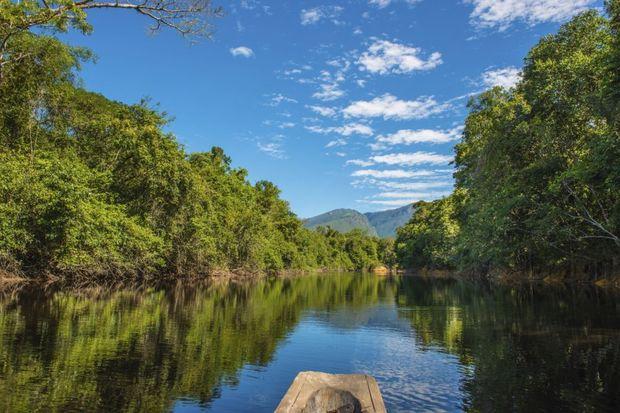 20 opmerkelijke feiten over het Amazone regenwoud