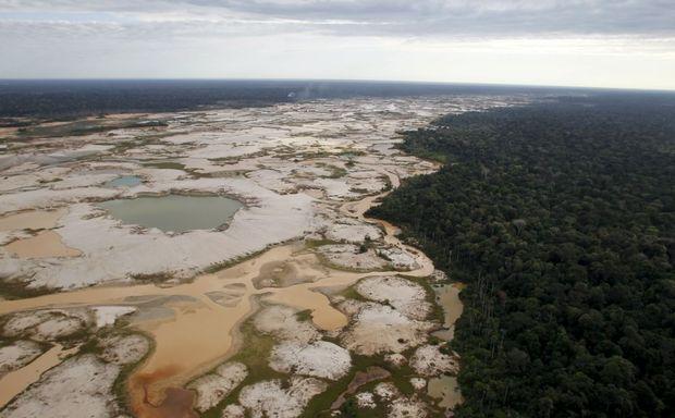 20 opmerkelijke feiten over het Amazone regenwoud