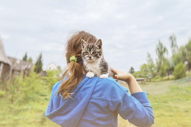 En, wat denk je? Is deze kitten rustig of niet? 