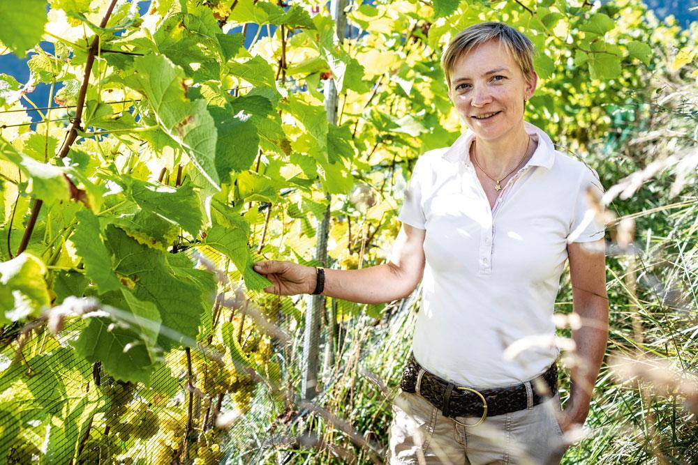 Na een hersentumor ging Hilde wijn maken: 'Dagelijks met de natuur werken helpt om te relativeren'