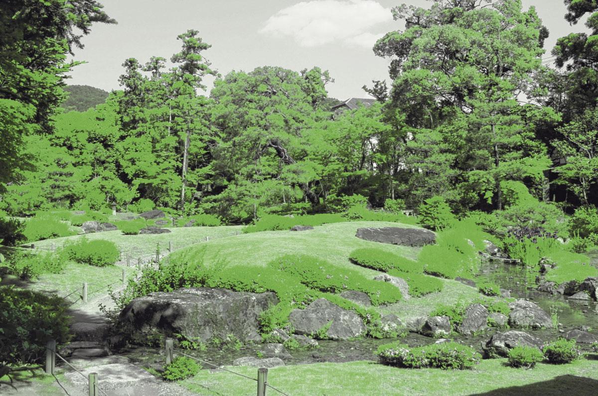Dans le livre, les illustrations d'Alex Chauvel côtoient des images de vrais jardins japonais.