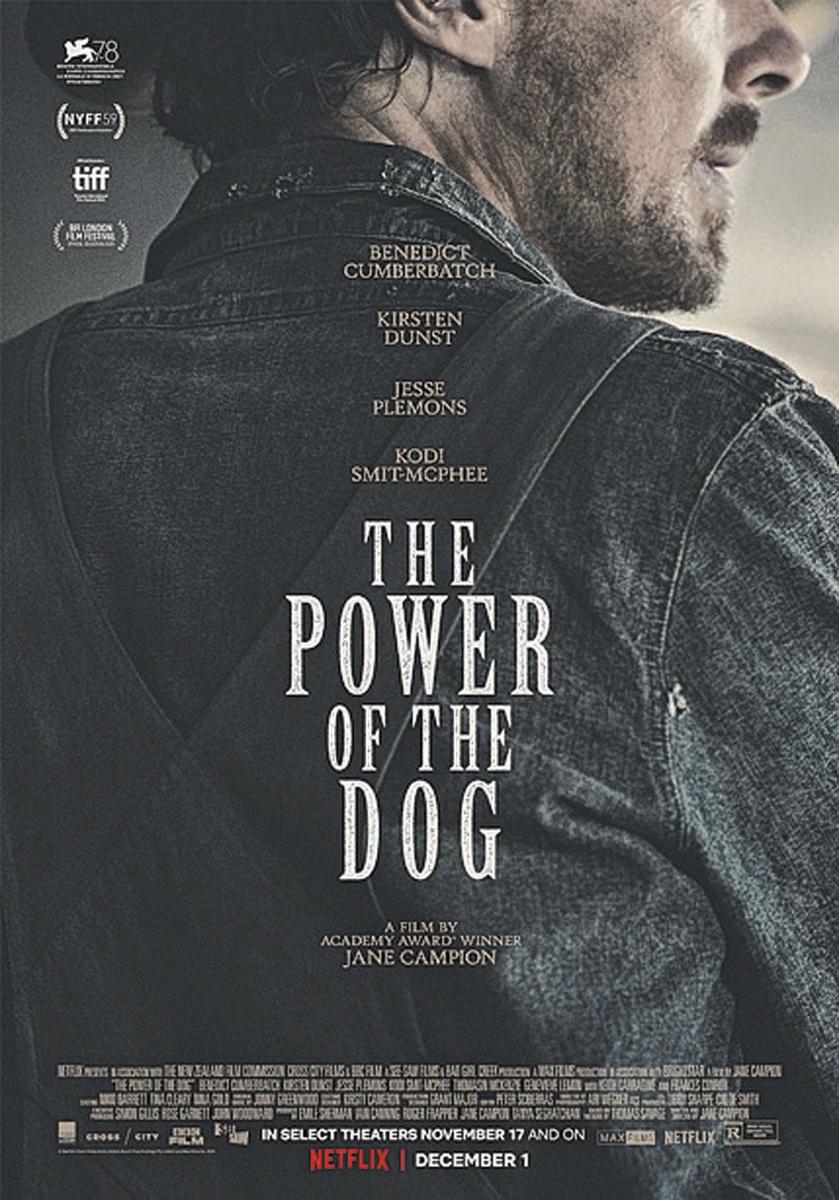 [critique ciné] The Power of the Dog, de Jane Campion: into the wild