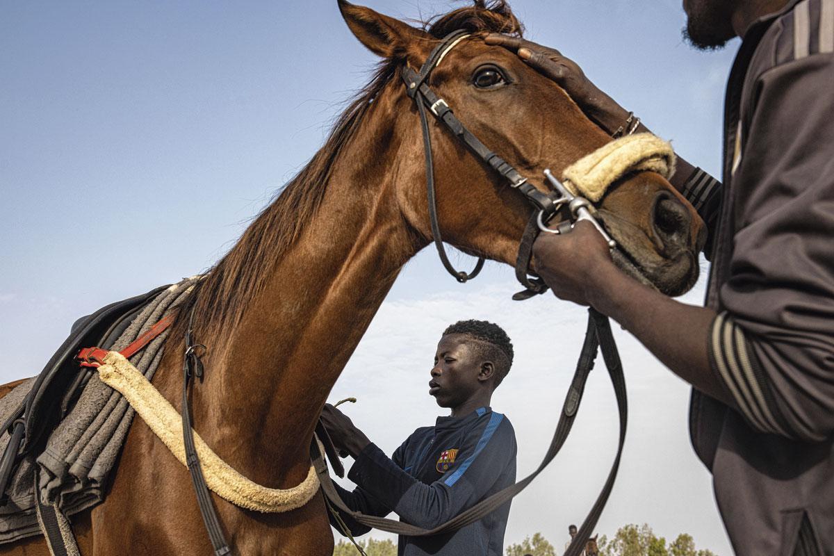 Fallou Diop a la réputation de faire de n'importe quel cheval de course un vainqueur. Son secret: communiquer avec l'animal et le considérer comme son égal.