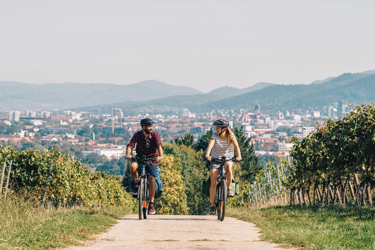 Badische Weinstrasse, une route alliant découverte de vins et vélo.