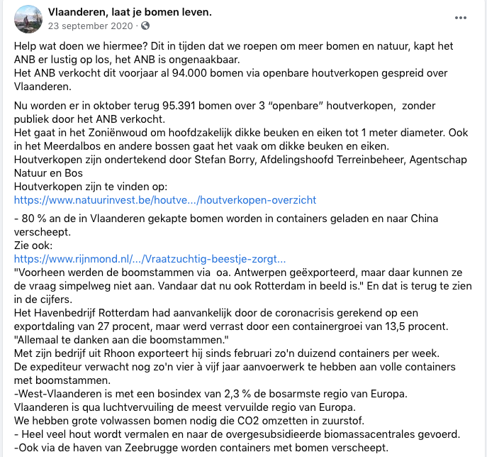 Factcheck: nee, niet 80% van de in Vlaanderen gekapte bomen wordt naar China verscheept