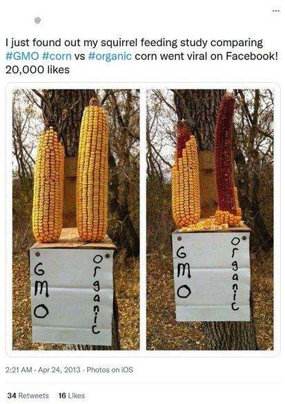 Factcheck: nee, deze foto toont geen ernstig onderzoek naar genetisch gemanipuleerde maïs
