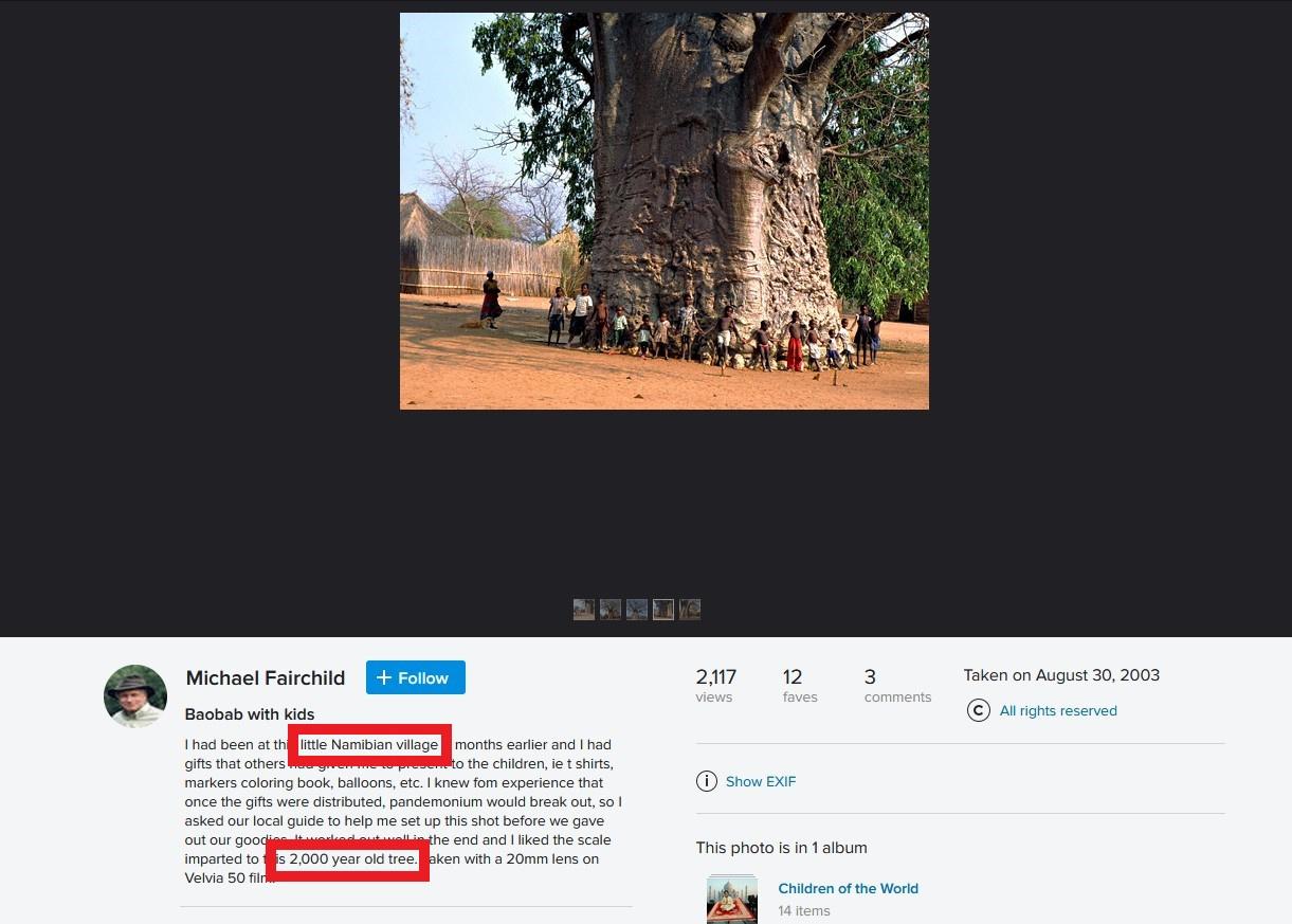 Factcheck: nee, dit is geen 6000-jarige boom in Senegal