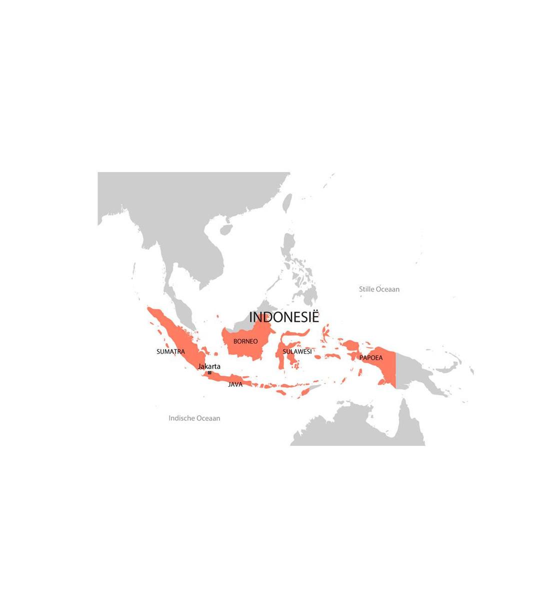 'Revolusi' van David Van Reybrouck: een pijnlijke reconstructie van de Indonesische dekolonisatie