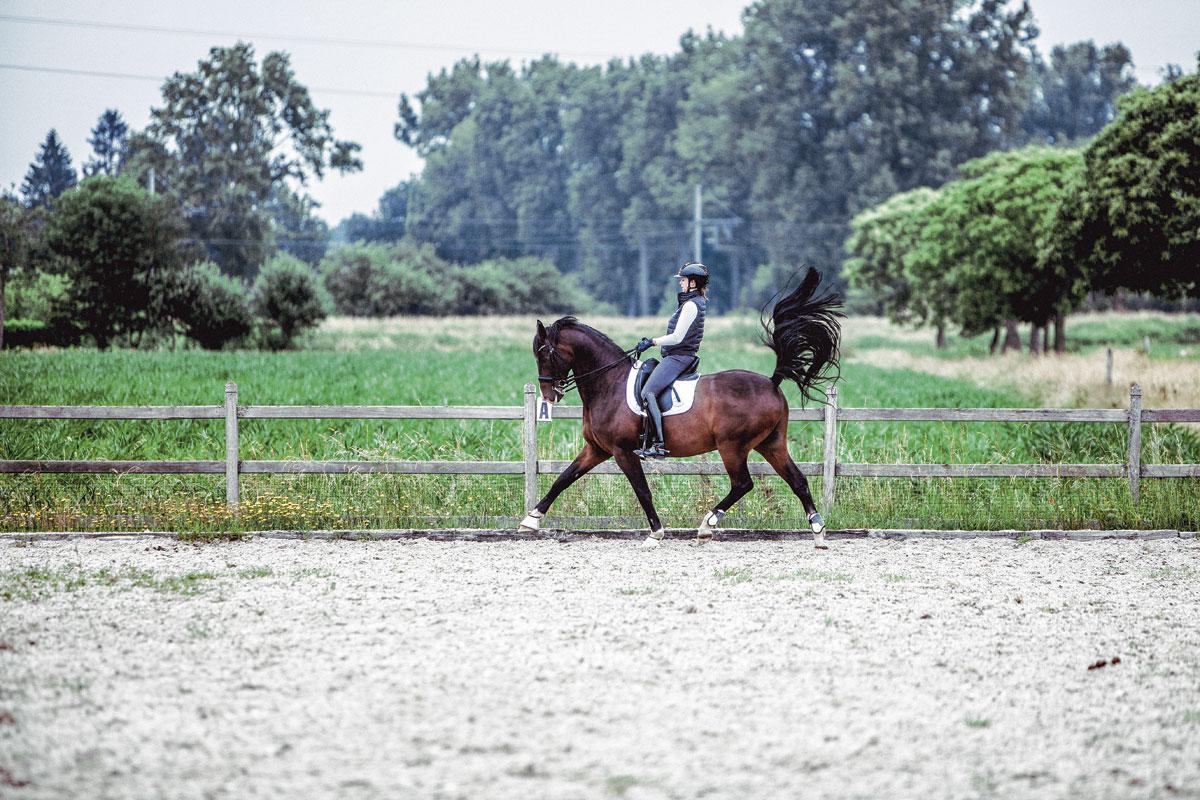 De olympische droom van Laurence Roos en haar paard Fil Rouge: 'Wij scheiden nooit'