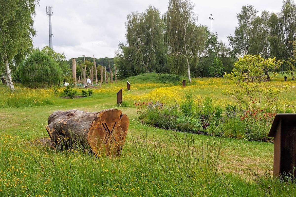 De bijentuin in Damme inspireert bezoekers om hun tuin bij- en natuurvriendelijk in te richten, hoe groot of klein die ook is.