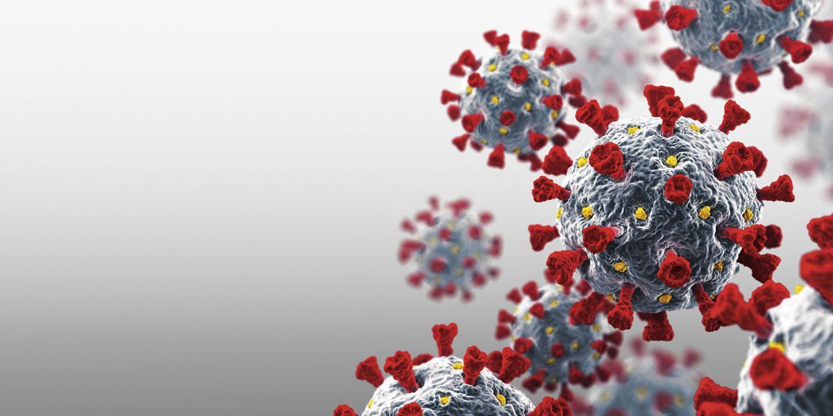 HET CORONAVIRUS Een mash-up van verschillende coronavirussen in ons lichaam is niet waarschijnlijk.