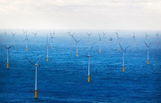 Windmolens op zee draaien maar op derde van capaciteit: 'Zou nooit mogen'