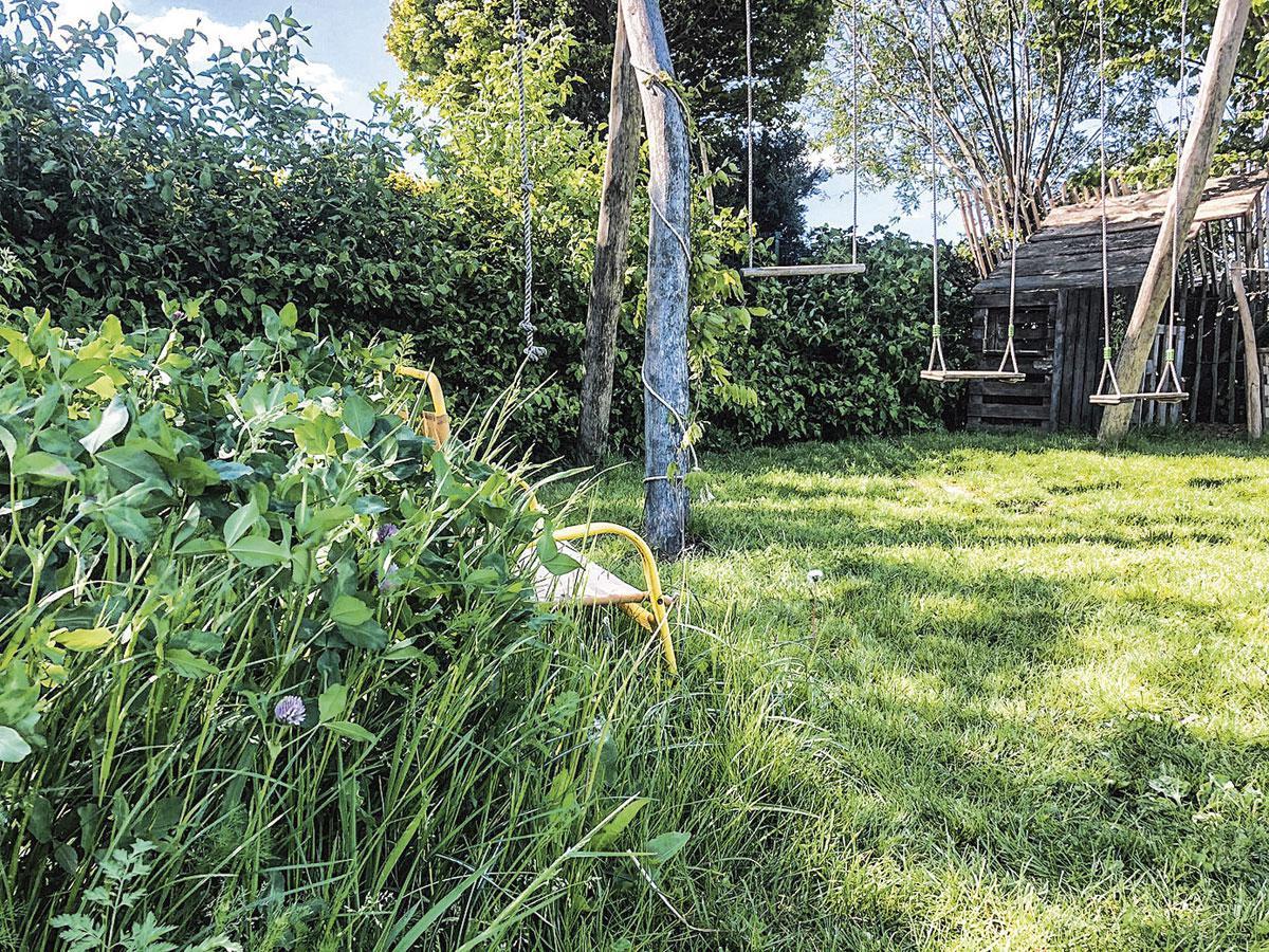 Bloembollen: een eenvoudige manier om je tuin biodiverser te maken zonder je gazon te moeten opgeven.