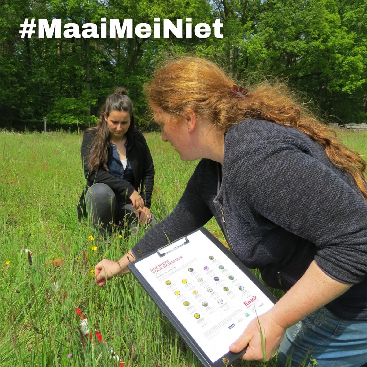 Bij het Provinciaal Natuurdomein Limburg werd enthousiast meegeteld.