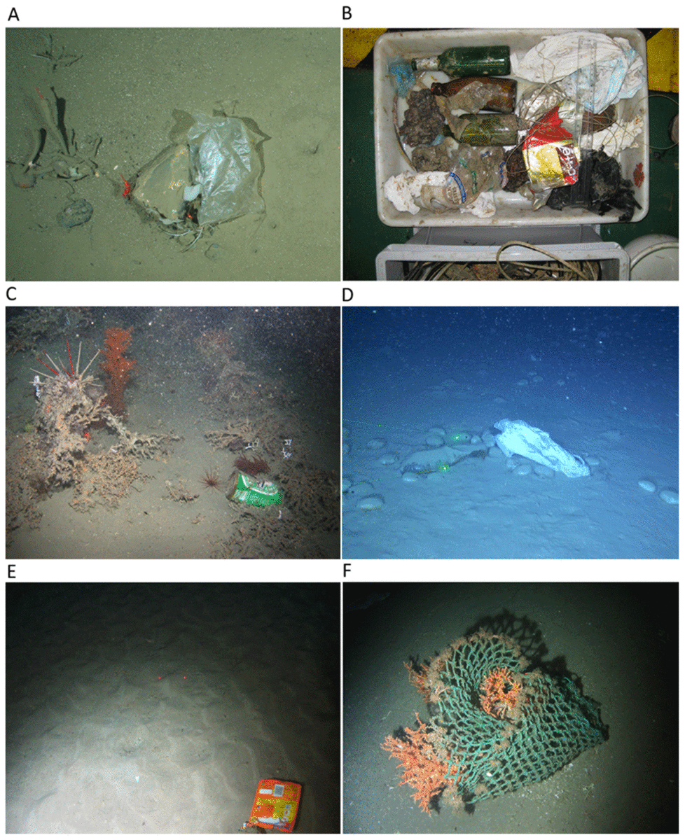 Compilatie van ROV beelden van marine litter gevonden tussen 850 en 2500 m waterdiepte langs de Europese rand (Pham et al., 2014).