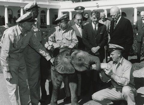 President Eisenhower (rechtsboven) ontmoet zijn 200 kilo wegende olifantbaby, Dzimbo.