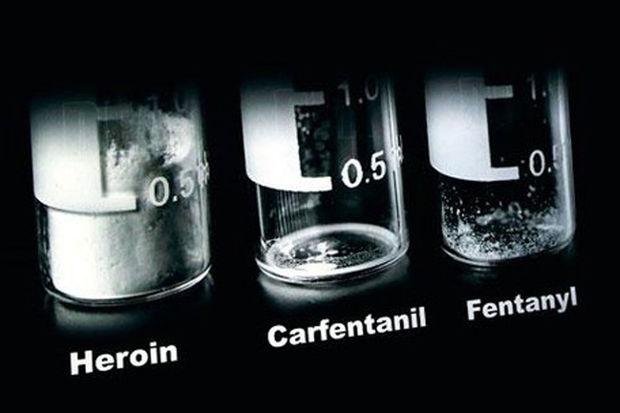 Dodelijke dosissen carfentanil en fentanyl in verhouding tot een dodelijke dosis heroïne.