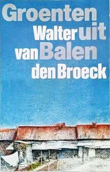 Het verdriet van België en 14 andere essentiële fictieboeken over Vlaanderen