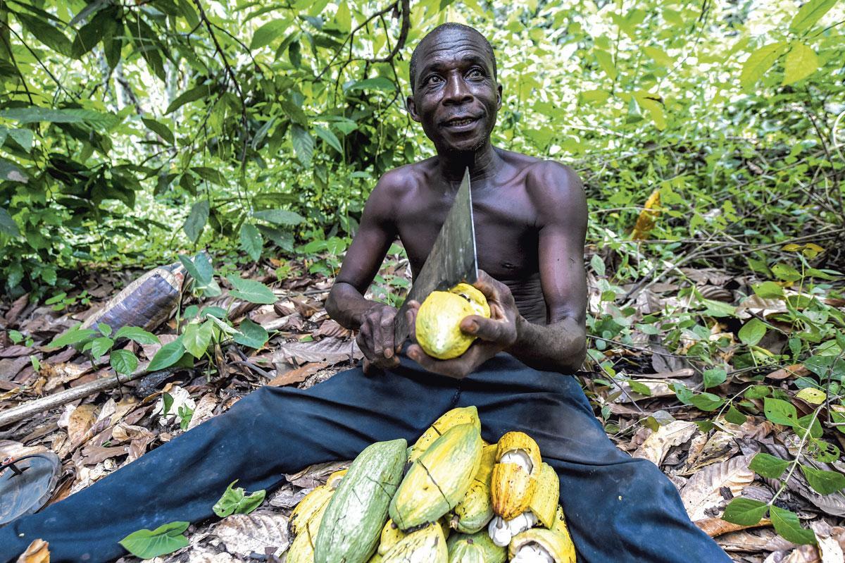 Nigeria was vroeger een van de grootste cacaoproducenten van de wereld.