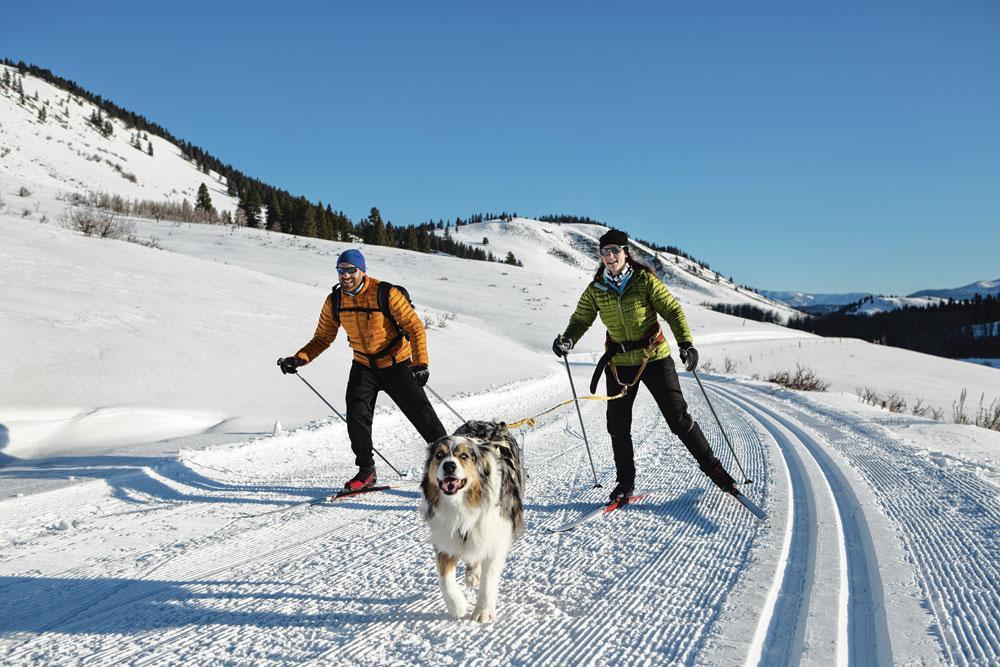Wintersport zonder latten: 8 alternatieve sporten voor niet-skiërs