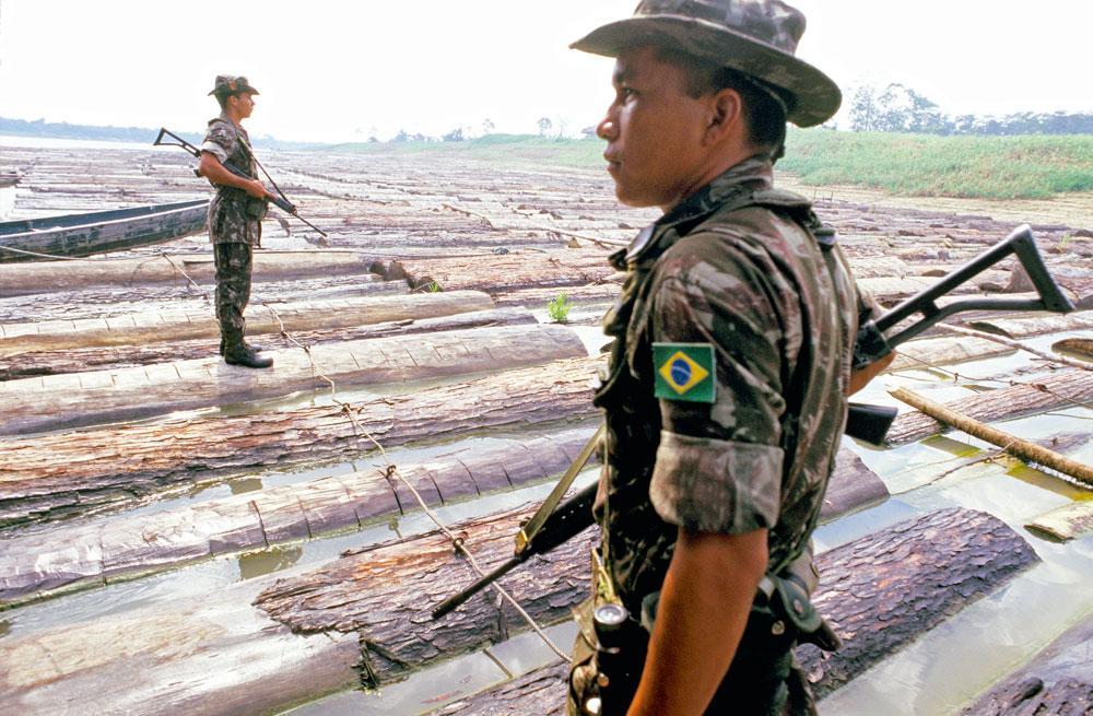 Illegaal gekapt hout 'Tussen onze overconsumptie van vlees en de ontbossing in Brazilië loopt een rechte lijn.'