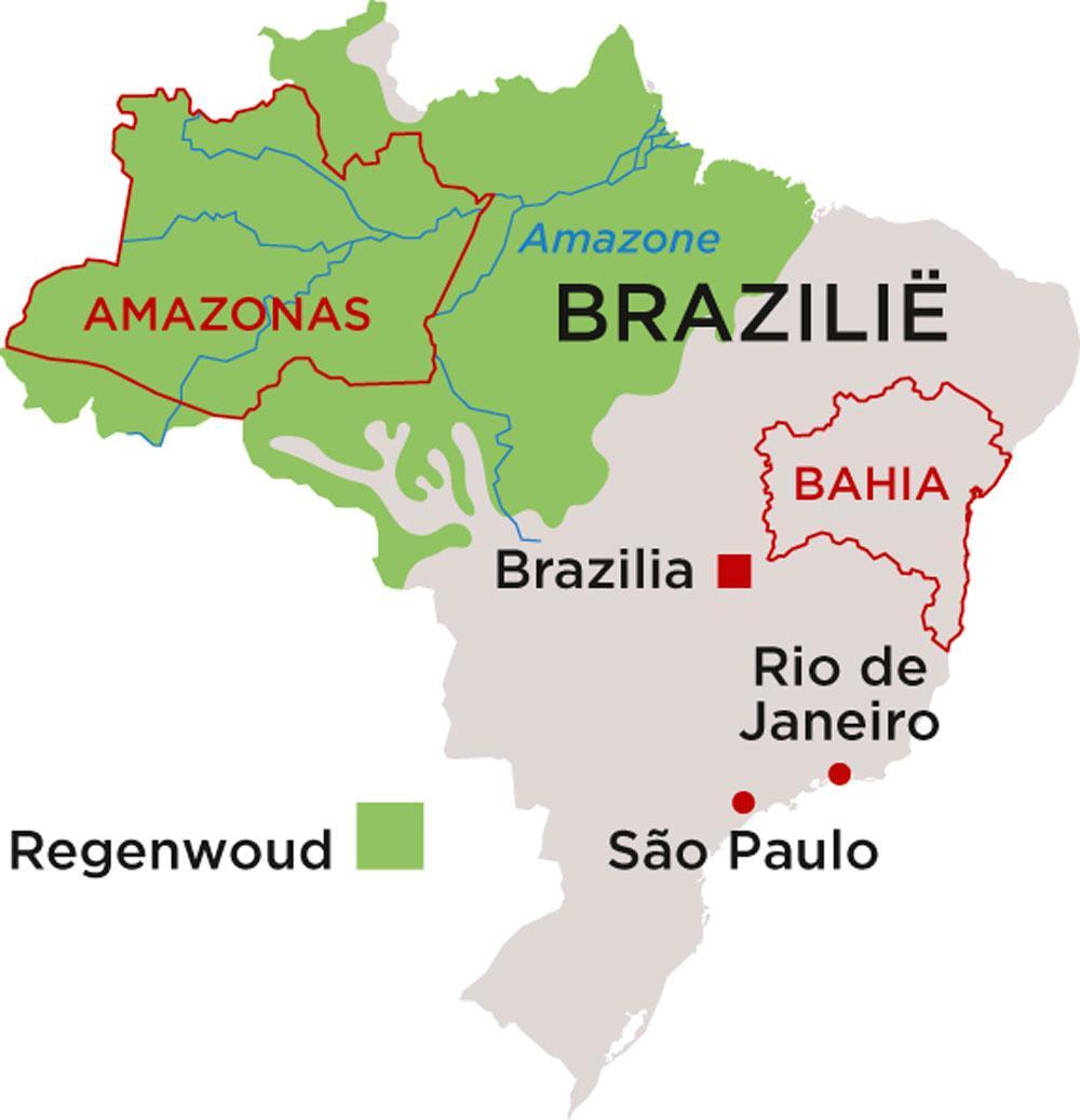 Land op de schop: de vliegende start van Braziliaans president Jair Bolsonaro