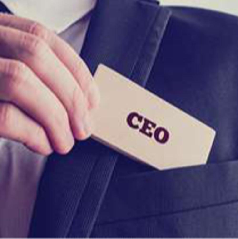 1. CEO'S