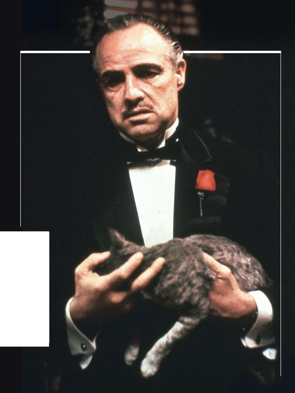 Het meesterwerk: Don Vito Corleone (Marlon Brando) in The Godfather (1972). In de al even formidabele delen II en III (1974, 1990) leidt zoon Michael Corleone (Al Pacino) het bedrijf.