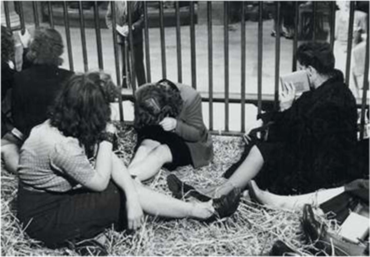 Antwerpen, 1944: vrouwen die verdacht worden van collaboratie met de Duitsers worden opgesloten in kooien in de Zoo na de bevrijding van Antwerpen.